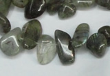 CCH320 15.5 inches 10*15mm labradorite chips gemstone beads wholesale