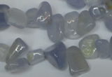 CCH322 15.5 inches 10*15mm blue chalcedony chips beads wholesale