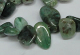 CCH330 15.5 inches 10*15mm New dragon blood jasper chips beads wholesale