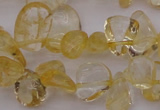 CCH612 15.5 inches 6*8mm - 10*14mm citrine chips gemstone beads