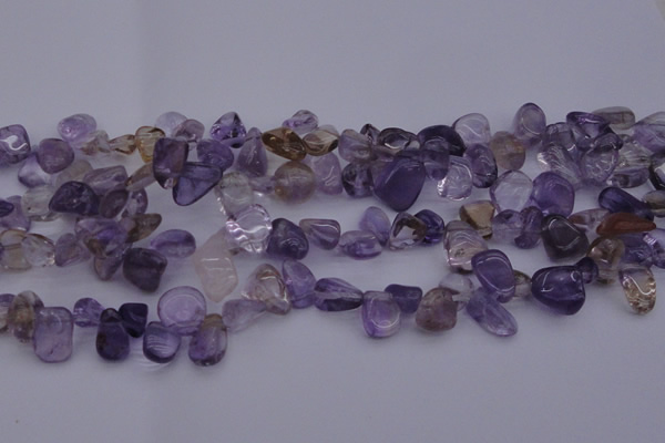 CCH614 15.5 inches 6*8mm - 10*14mm ametrine chips gemstone beads