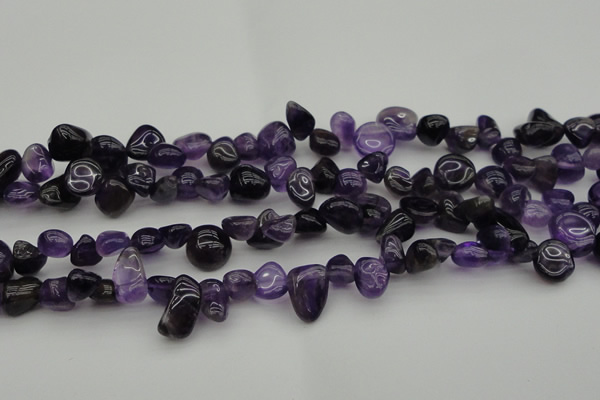 CCH615 15.5 inches 6*8mm - 10*14mm amethyst chips gemstone beads