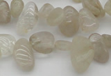 CCH622 15.5 inches 6*8mm - 10*14mm golden rutilated quartz chips beads