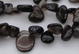 CCH623 15.5 inches 6*8mm - 10*14mm smoky quartz chips beads