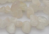 CCH624 15.5 inches 6*8mm - 10*14mm white moonstone chips beads