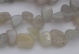 CCH625 15.5 inches 6*8mm - 10*14mm grey moonstone chips beads