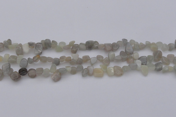 CCH625 15.5 inches 6*8mm - 10*14mm grey moonstone chips beads