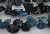 CCH628 15.5 inches 6*8mm - 10*14mm apatite gemstone chips beads