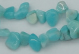 CCH631 15.5 inches 6*8mm - 10*14mm Peru amazonite chips beads