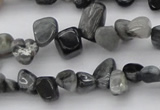 CCH633 15.5 inches 6*8mm - 10*14mm eagle eye jasper chips beads