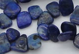 CCH634 15.5 inches 6*8mm - 10*14mm lapis lazuli chips beads