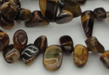 CCH638 15.5 inches 6*8mm - 10*14mm yellow tiger eye chips beads