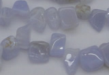 CCH639 15.5 inches 6*8mm - 10*14mm blue lace agate chips beads