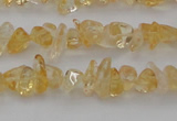 CCH655 15.5 inches 4*6mm - 5*8mm citrine gemstone chips beads