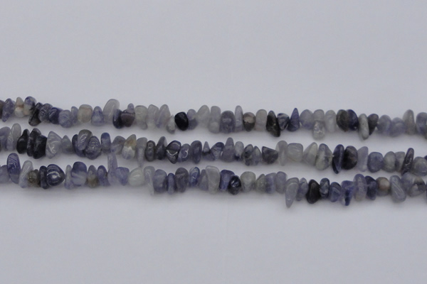 CCH659 15.5 inches 5*8mm - 6*10mm iolite gemstone chips beads