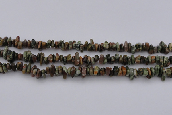 CCH662 15.5 inches 5*8mm - 6*10mm rhyolite gemstone chips beads