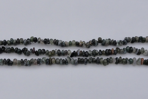 CCH663 15.5 inches 4*6mm - 5*8mm moss agate chips beads