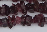 CCH704 15.5 inches 4*6mm - 6*8mm purple garnet chips beads