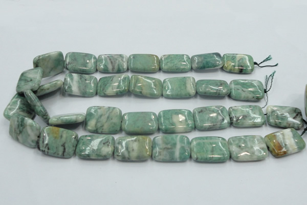 CCJ53 15.5 inches 18*25mm rectangle African jade gemstone beads