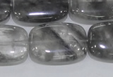 CCQ179 15.5 inches 22*30mm rectangle cloudy quartz beads wholesale