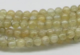 CCR80 15.5 inches 5mm round citrine gemstone beads wholesale