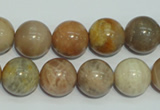 CCS306 15.5 inches 14mm round natural sunstone beads wholesale