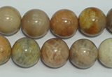 CCS307 15.5 inches 16mm round natural sunstone beads wholesale