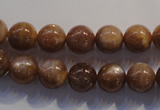 CCS353 15.5 inches 10mm round AB grade natural golden sunstone beads