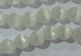 CCT351 15 inches 6mm faceted round cats eye beads wholesale