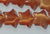 CCT863 15 inches 10mm star cats eye beads wholesale