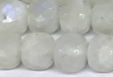 CCU1045 15 inches 8mm faceted cube white moonstone beads