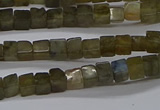 CCU311 15.5 inches 4*4mm cube labradorite beads wholesale