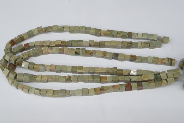 CCU47 15.5 inches 6*6mm cube silver leaf jasper beads wholesale