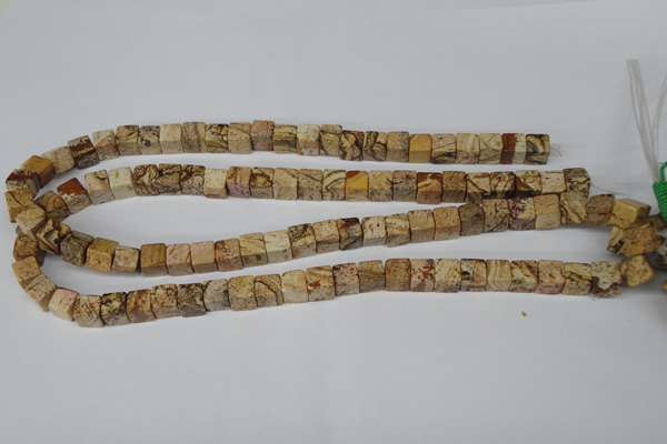 CCU65 15.5 inches 8*8mm cube picture jasper beads wholesale