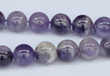 CDA53 15.5 inches 10mm round dogtooth amethyst beads wholesale