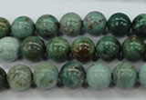 CDB42 15.5 inches 10mm round new dragon blood jasper beads