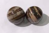 CDN1291 40mm round zebra jasper decorations wholesale