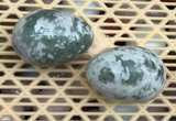 CDN351 35*50mm egg-shaped tree agate decorations wholesale