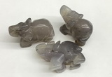 CDN403 25*50*35mm elephant grey agate decorations wholesale