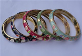 CEB12 5pcs 10mm width gold plated alloy with enamel bangles wholesale