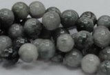 CEE05 15.5 inches 10mm round eagle eye jasper beads wholesale