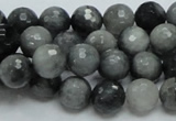 CEE21 15.5 inches 10mm faceted round eagle eye jasper beads wholesale