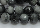 CEE22 15.5 inches 12mm faceted round eagle eye jasper beads wholesale