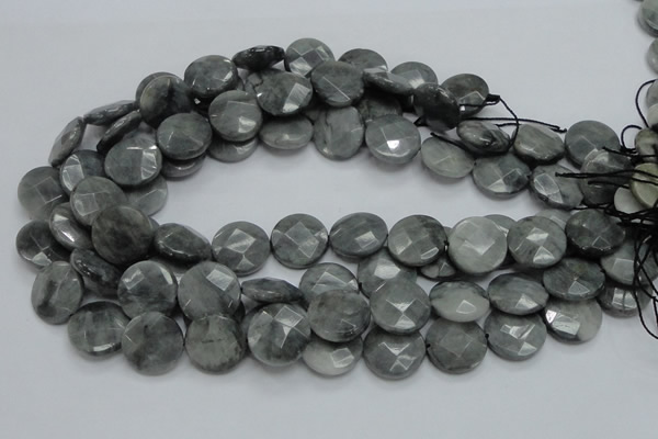 CEE38 15.5 inches 20mm faceted coin eagle eye jasper beads wholesale