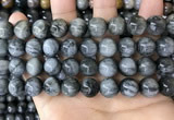 CEE544 15.5 inches 12mm round eagle eye jasper gemstone beads