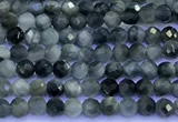 CEE560 15 inches 2mm faceted round eagle eye jasper beads