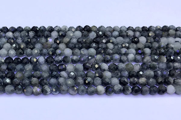 CEE562 15 inches 4mm faceted round eagle eye jasper beads