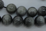 CEE65 15.5 inches 12mm round eagle eye jasper beads wholesale