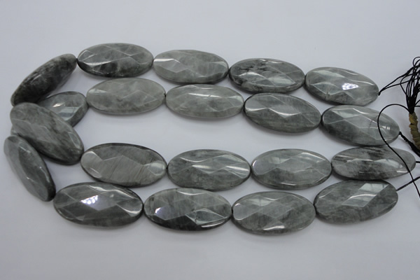 CEE85 15.5 inches 20*40mm faceted oval eagle eye jasper beads