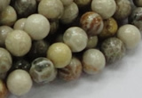 CFA03 15.5 inches 10mm round chrysanthemum agate gemstone beads